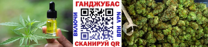 Cannafood конопля  Купить где  Луза 