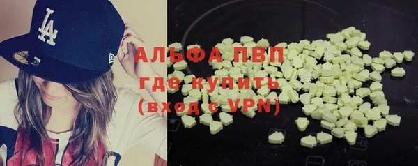 винт Дмитров