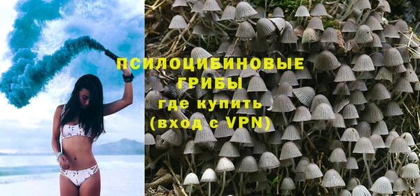 винт Дмитров