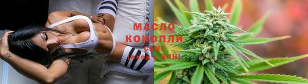 винт Дмитров