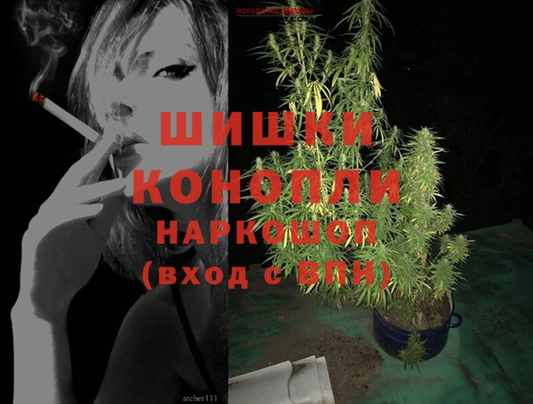 винт Дмитров