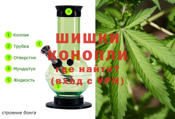 дмт Дмитровск