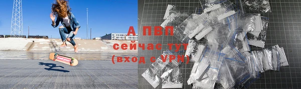 дмт Дмитровск